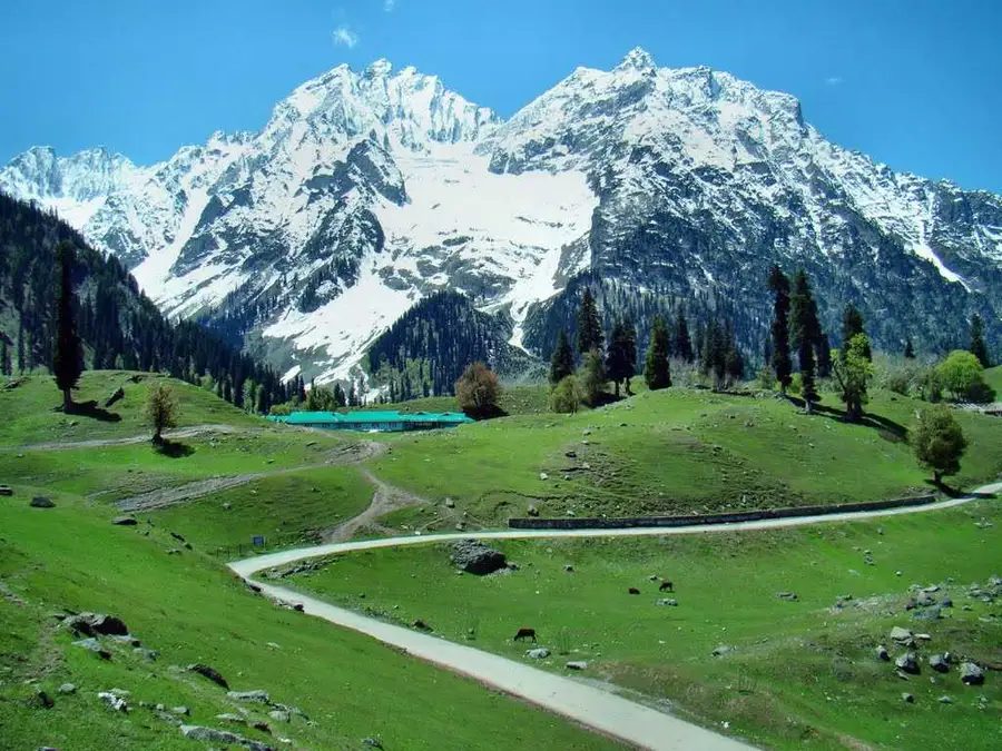 Kashmir Valley Delight thumbnail 2